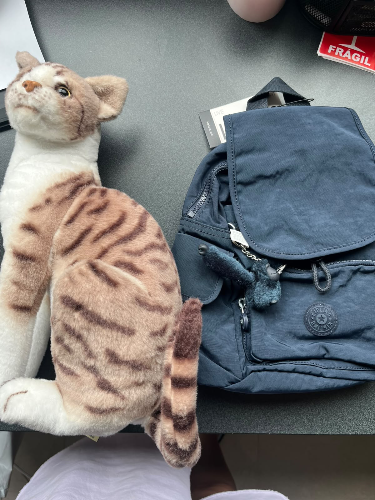 Mochila Kipling City Pack Mini Backpack - Blue Bleu 2